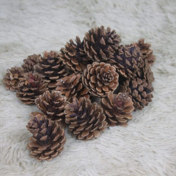 Mini Pine Cones - Masons Home Decor Singapore