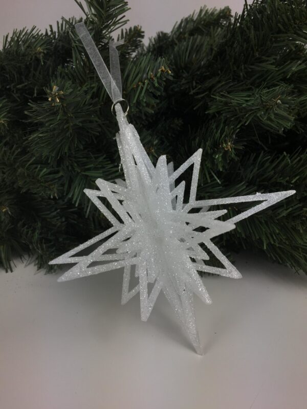 4D Snowflake by Masons Home Decor