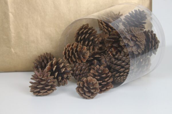 Mini Pine Cone Brown by Masons Home Decor Singapore (1)