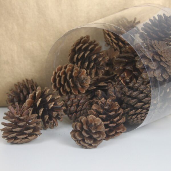 Mini Pine Cone Brown by Masons Home Decor Singapore (1)