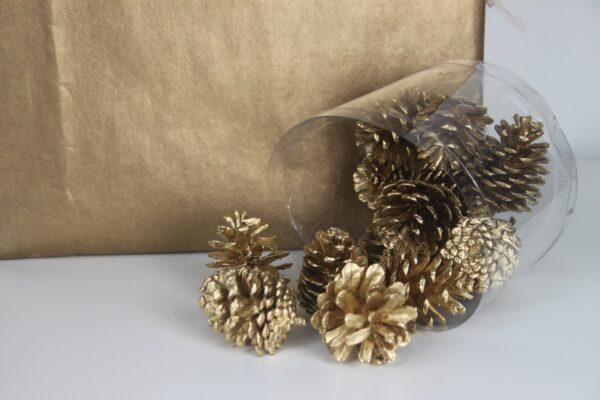 Mini Pine Cone Gold by Masons Home Decor Singapore (3)