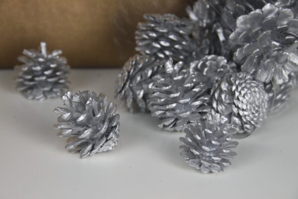 Mini Pine Cones by Masons Home Decor Singapore 1