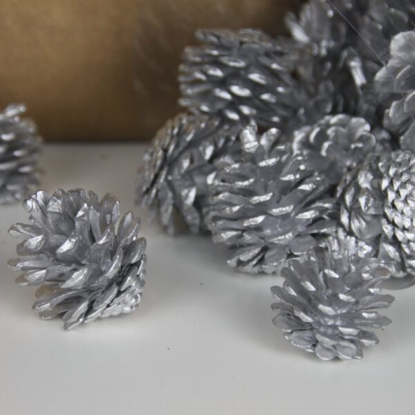 Mini Pine Cones by Masons Home Decor Singapore 1