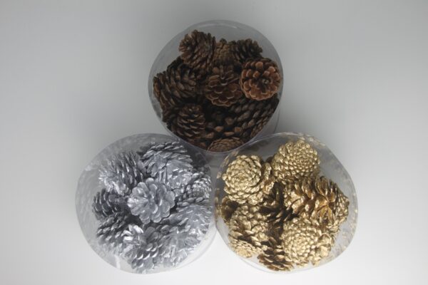 Mini Pine Cones by Masons Home Decor Singapore