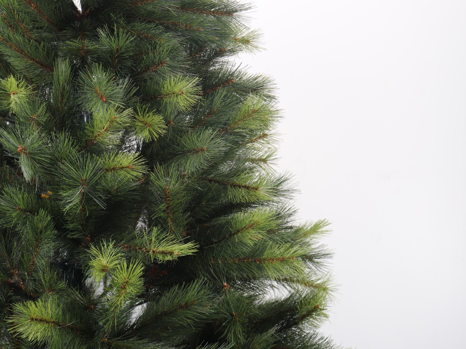 NEW ARRIVAL: North Carolina Pine Hyper Realistic Christmas Tree 6 feet