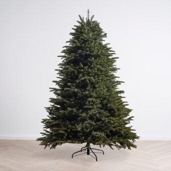 ariana douglas fir by masons home decor christmas tree singapore 1