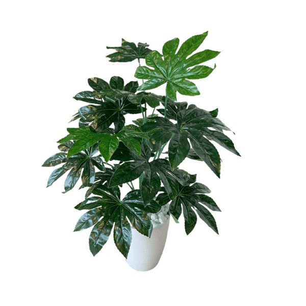 artificial aralia plant - white pot by masons home decor