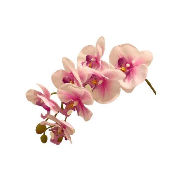 Artificial 10-Stalk Phalaenopsis Orchid Arrangement with Assorted Leaves - 0.65m - Cream-Pink - Pot White