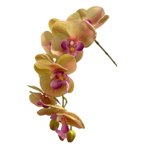 Artificial 10-Stalk Phalaenopsis Orchid Arrangement with Assorted Leaves - 0.65m - Green-Pink - Pot White