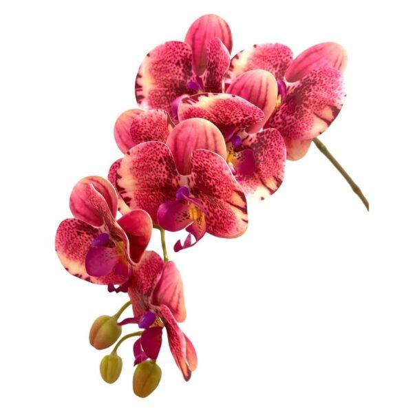 Artificial 10-Stalk Phalaenopsis Orchid Arrangement with Assorted Leaves - 0.65m - Magenta - Pot White