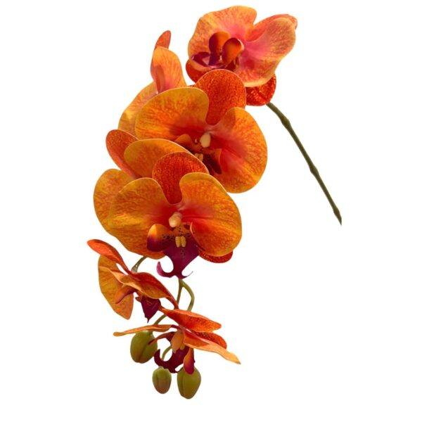 Artificial 10-Stalk Phalaenopsis Orchid Arrangement with Assorted Leaves - 0.65m - Orange - Pot White