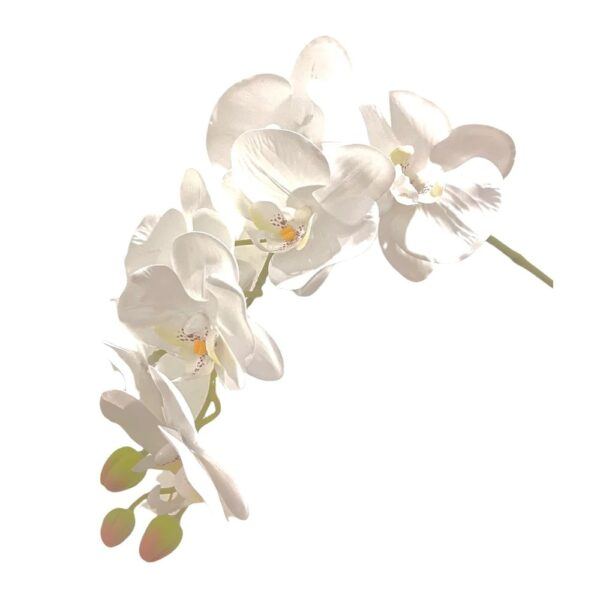 Artificial 10-Stalk Phalaenopsis Orchid Arrangement with Assorted Leaves - 0.65m - White - Pot White