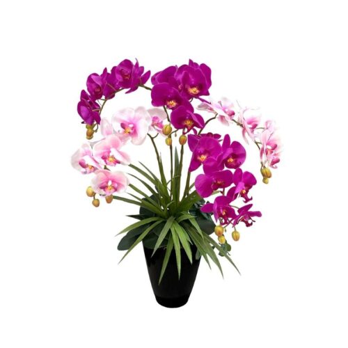 Artificial 5-Stalk Phalaenopsis Orchid Arrangement with Long Orchid Leaves - Mix of Beauty (Purple) and Cream-Pink - Black Pot 2 by masons home decor singapore