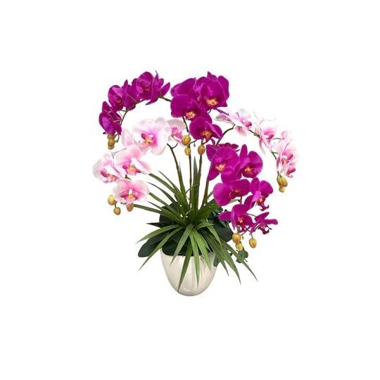 Artificial 5-Stalk Phalaenopsis Orchid Arrangement with Long Orchid Leaves - Mix of Beauty (Purple) and Cream-Pink - 0.75m - Pot White