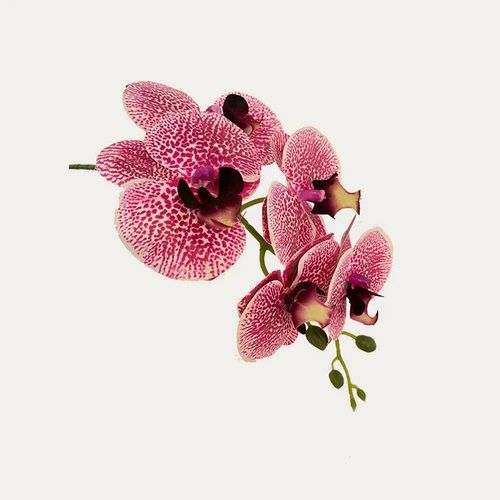 Artificial 6-Stalk Phalaenopsis Arrangement - Spotted Burgundy - 0.6m - Pot Brown