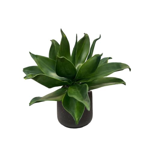 Artificial Agave - Black Pot by masons home decor singapore