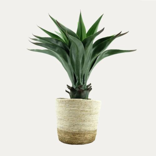 Artificial Agave Plant - Brown Twine Basket by masons home decor singapore