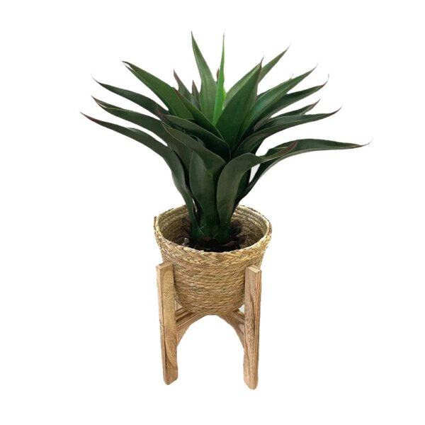 Artificial Agave Plant - Papyrus Basket with Wooden Stand by masons home decor singapore