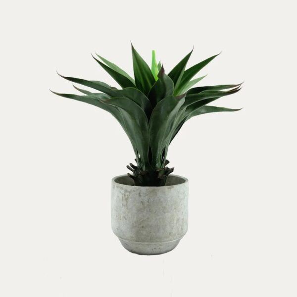 Artificial Agave Plant - Round Cement Pot by masons home decor singapore
