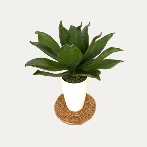 Artificial Agave Succulent Arrangement - White Pot With Papyrus Mat by masons home decor singapore