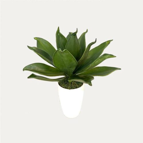 Artificial Agave Succulent Arrangement - White Pot without Papyrus Mat by masons home decor singapore