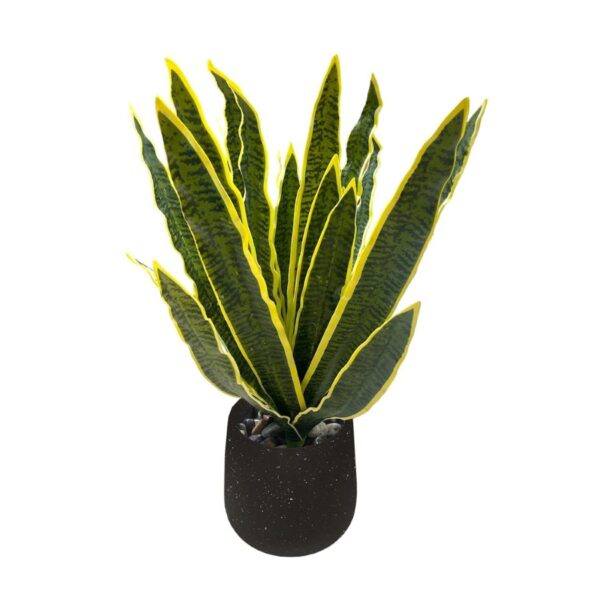 Artificial Snake Plant - 0.55m - Pot Black