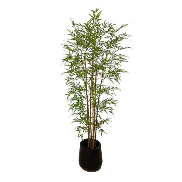 Artificial Bamboo Tree - 1.8m to 2.1m - Pot Smooth Black