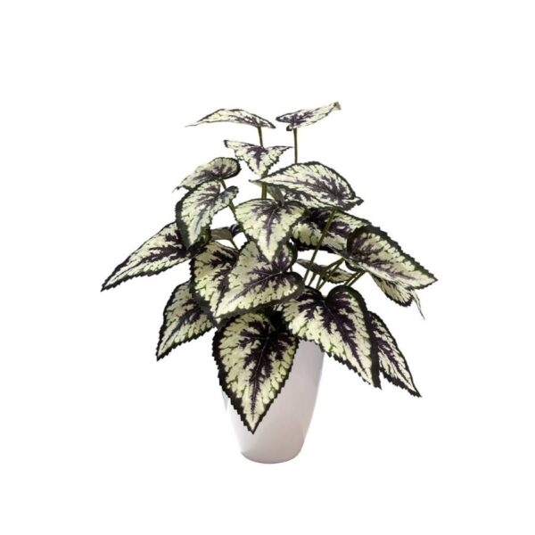 Artificial Begonia Bush - White Pot 1 by masons home decor singapore