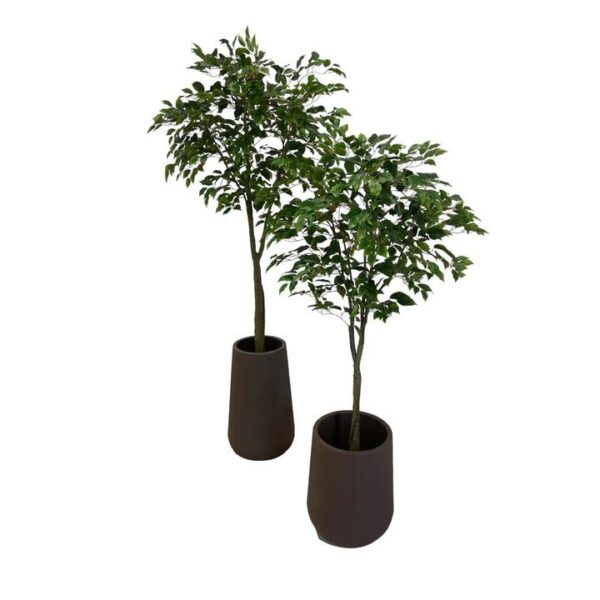 Artificial Benjamin Ficus Tree (Set of 2 - Assorted) - Brown Textured Pot by masons home decor singapore