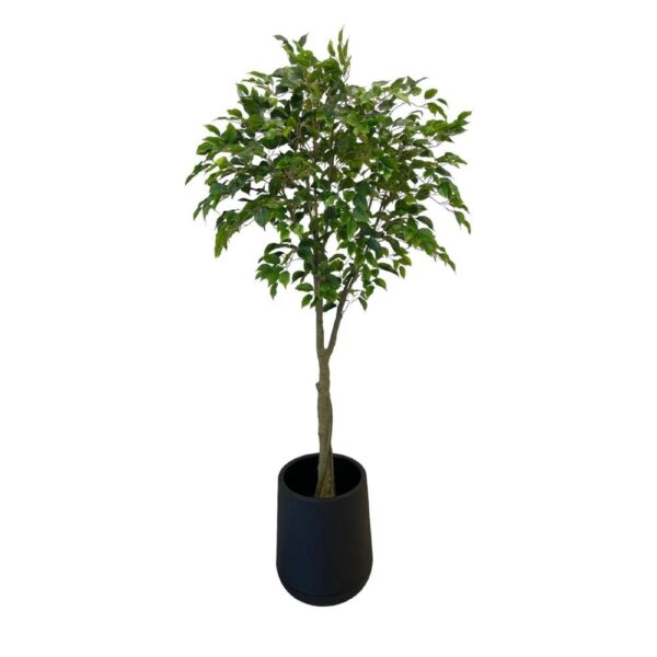 Artificial Benjamin Ficus Tree - Short Black Textured Pot by masons home decor singapore