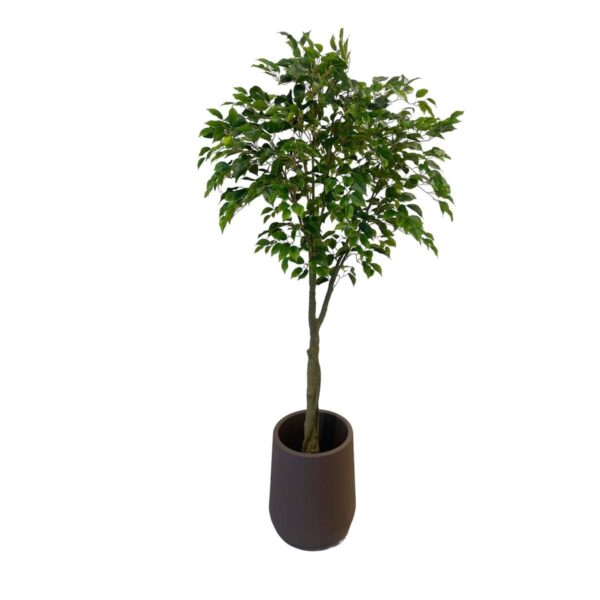 Artificial Benjamin Ficus Tree - Short Brown Textured Pot by masons home decor singapore