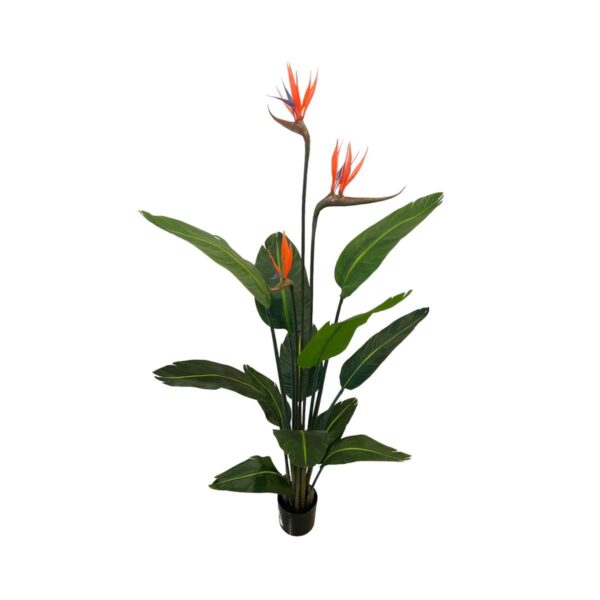 Artificial Birds of Paradise Plant - Basic Black Pot by masons home decor singapore