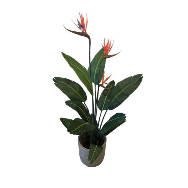 Artificial Birds of Paradise Plant - Grey Cement Pot by masons home decor singapore