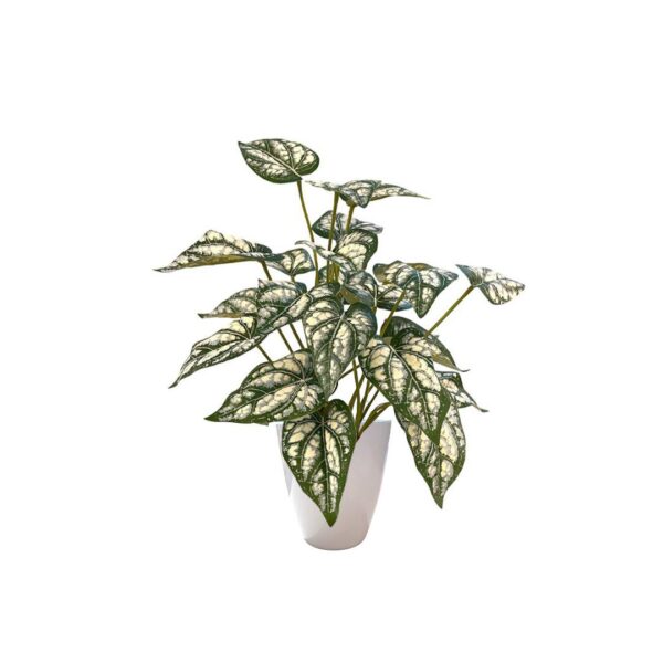 Artificial Caladium Bush - White Pot by masons home decor singapore