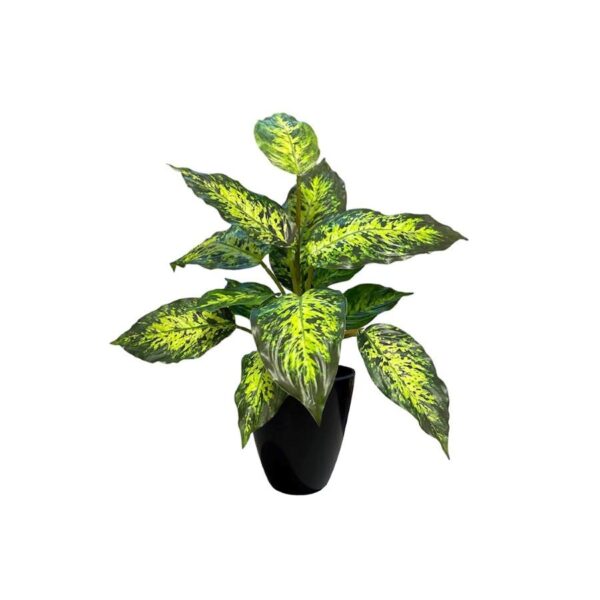 Artificial Dieffenbachia Bush - Black Pot 1 by masons home decor singapore