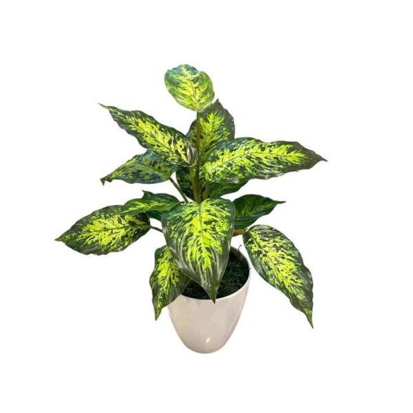 Artificial Dieffenbachia Bush - White Pot by masons home decor singapore