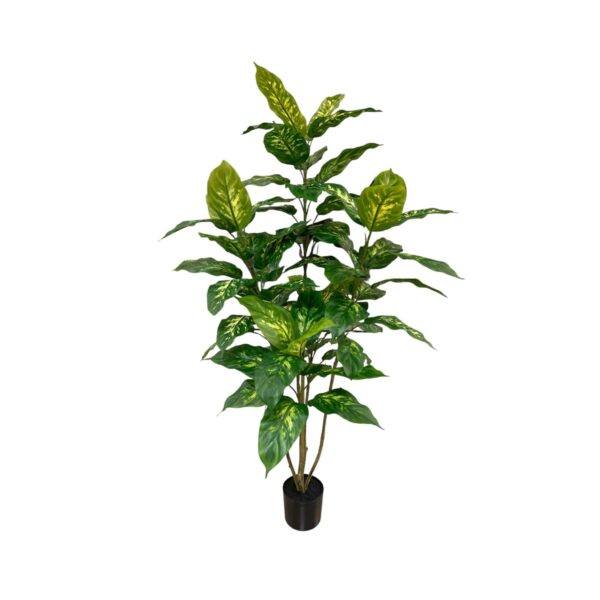 Artificial Dieffenbachia Plant - 1.2m - Pot None