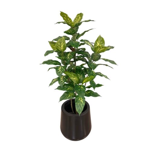 Artificial Dieffenbachia Plant - 1.2m -Black Smooth Plastic Pot by masons home decor singapore