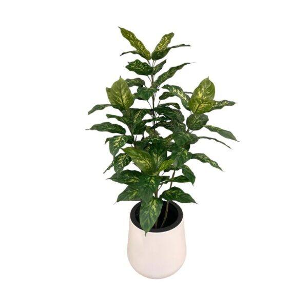 Artificial Dieffenbachia Plant - 1.2m - Pot White