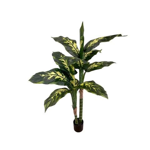 Artificial Dieffenbachia Plant (Broad-leaf)- Basic Black Pot by masons home decor singapore