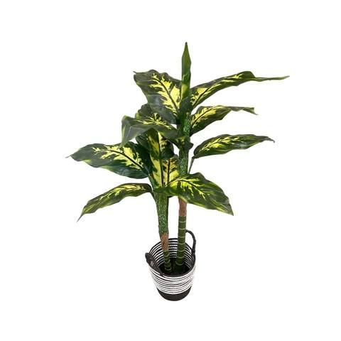 Artificial Dieffenbachia Plant (Broad-leaf) - Black and White Basket with Handle by masons home decor singapore