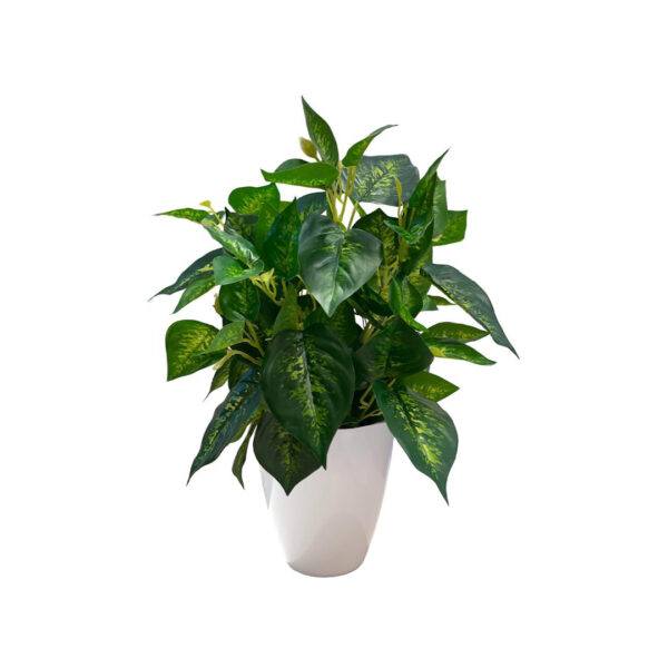 Artificial Dieffenbachia - White Pot by masons home decor singapore