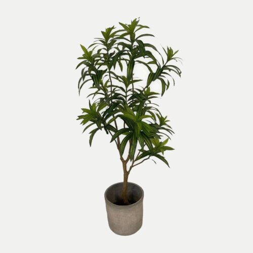 Artificial Dracaena Reflexa - Grey Cement Pot by masons home decor singapore