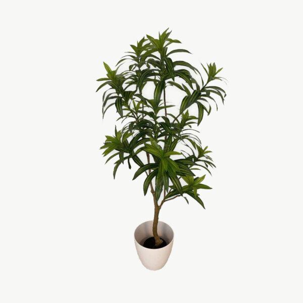 Artificial Dracaena Reflexa - 1.25m - Pot White