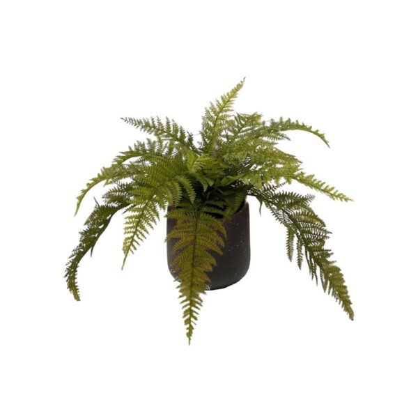 Artificial Emperor Fern - Black Pot 1 by masons home decor singapore