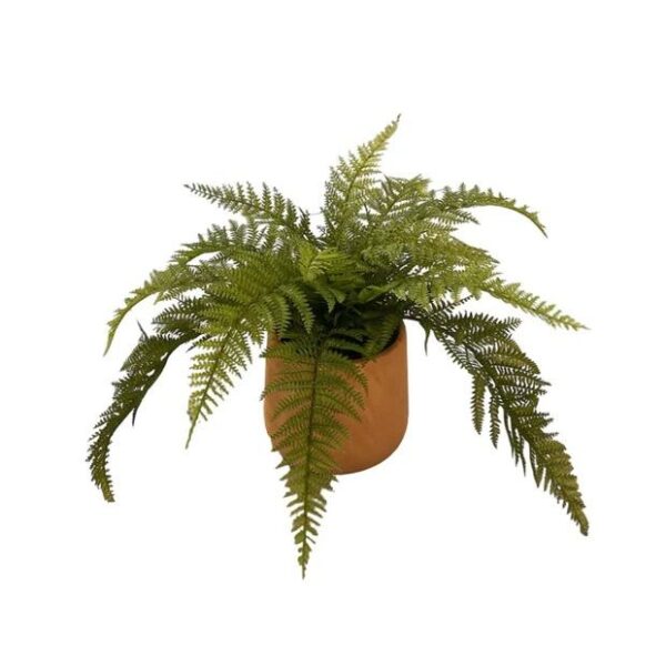 Artificial Emperor Fern - Terracotta Pot 1 by masons home decor singapore