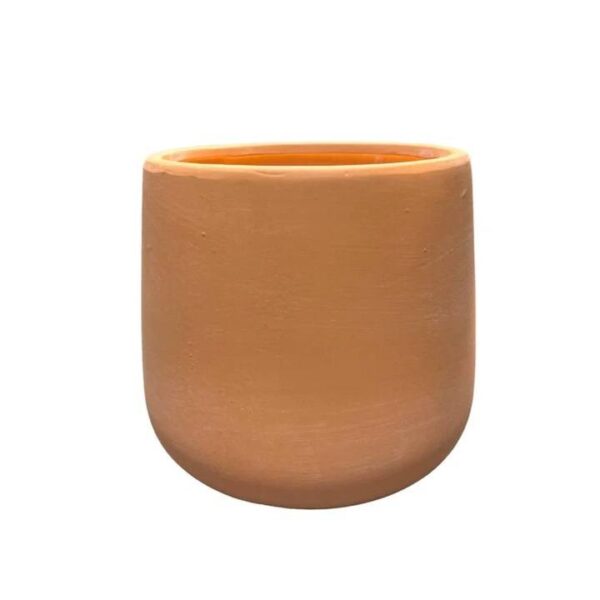 Artificial Emperor Fern - Terracotta Pot 3 by masons home decor singapore