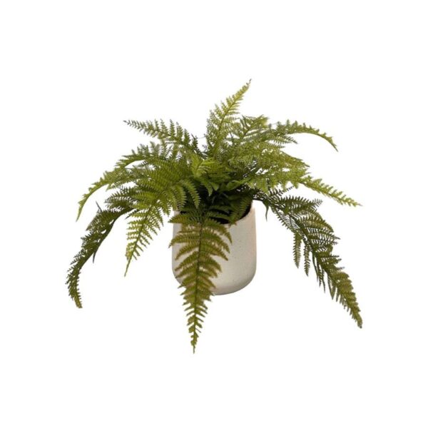 Artificial Emperor Fern - White Pot 1 by masons home decor Singapore