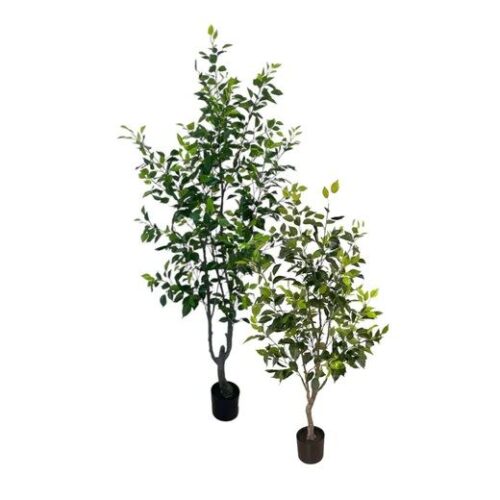 Artificial Ficus Tree (Set of 2) - 1.3m and 1.9m - Pot None