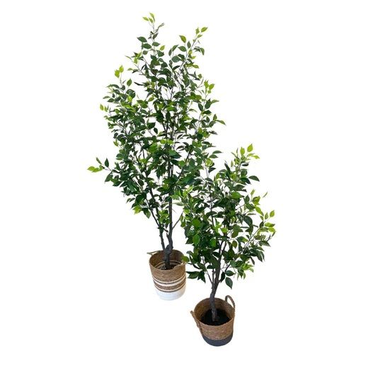 Artificial Ficus Tree (Set of 2) - 1.3m and 1.9m - Brown and Grey Woven Basket and White and Brown Woven Basket by masons home decor singapore